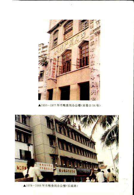 《海口市粮食志》.pdf电子版_海南省志预览图4