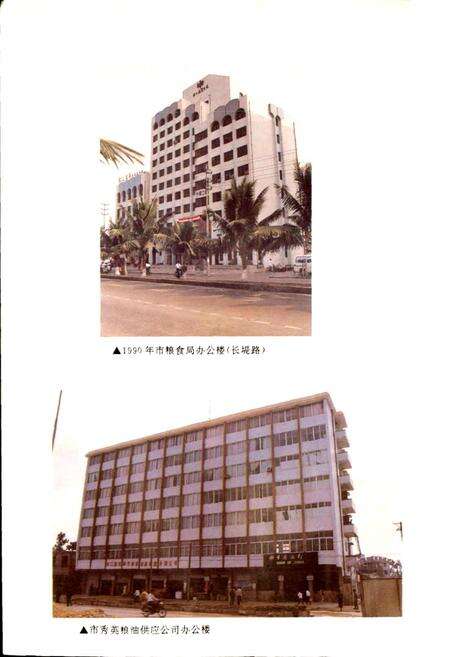 《海口市粮食志》.pdf电子版_海南省志预览图5