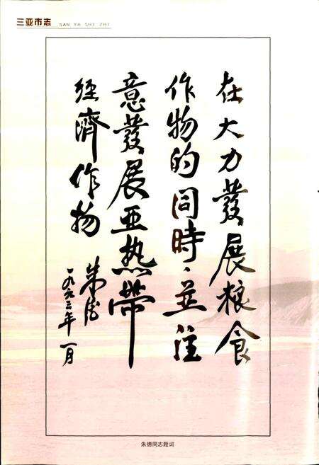 《三亚市志》.pdf电子版_海南省志预览图5