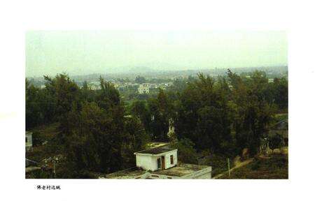 《《佛老村志》》.pdf电子版_海南省志预览图3