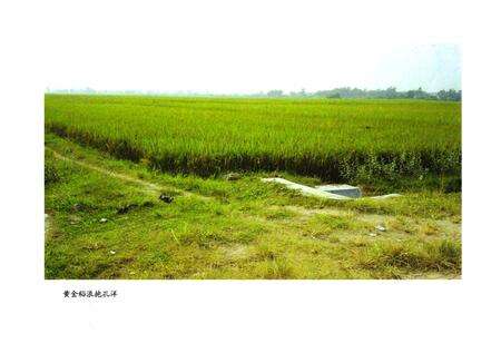 《《佛老村志》》.pdf电子版_海南省志预览图4