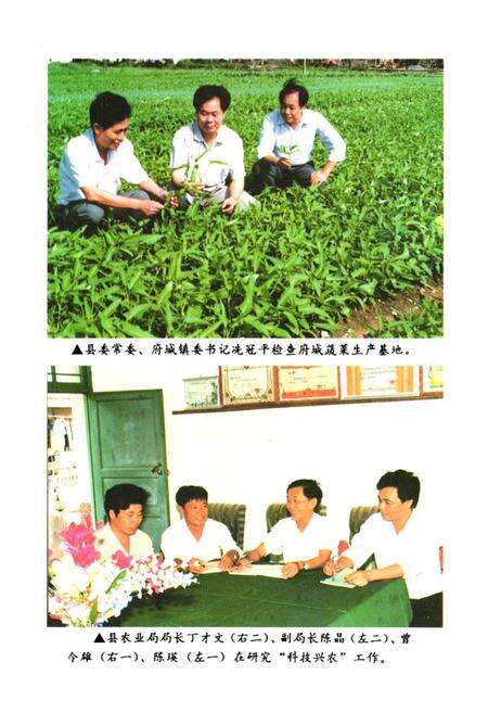 《《琼山县农业志》》.pdf电子版_海南省志预览图5