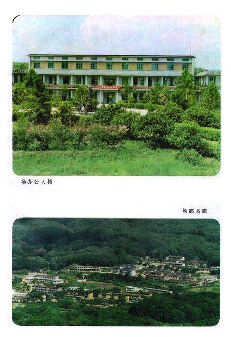 《国营加钗场志》.pdf电子版_海南省志预览图4