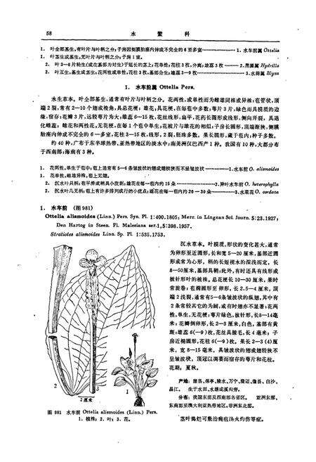 《海南植物志(第四卷)》.pdf电子版_海南省志预览图5
