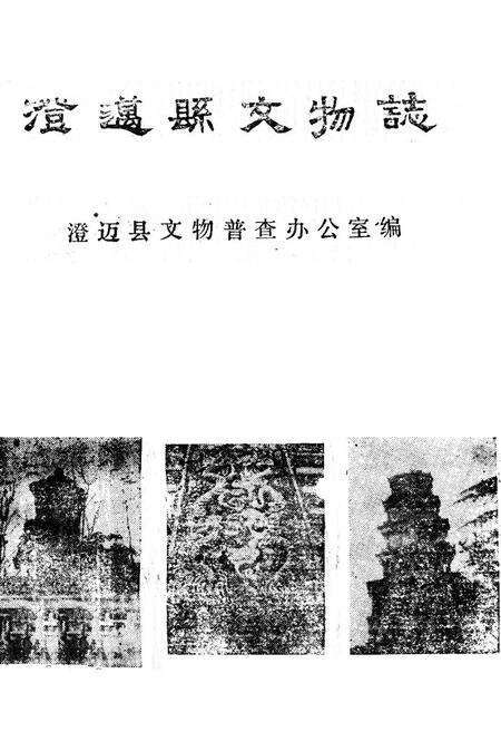 《澄迈县文物志》.pdf电子版_海南省志缩略图