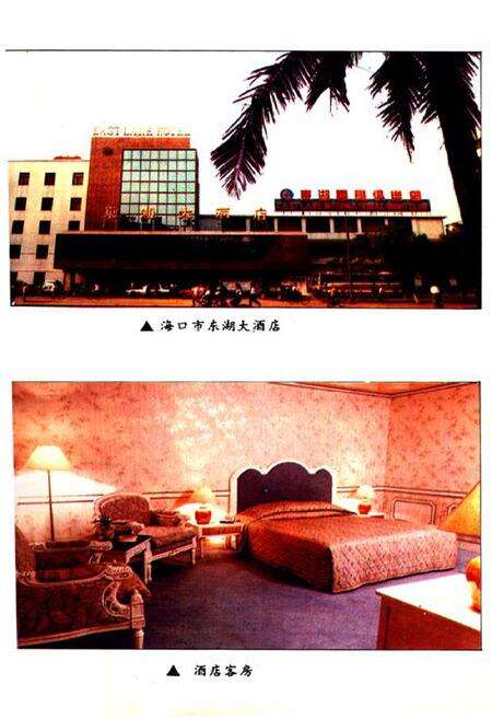 《海口市经贸志》.pdf电子版_海南省志预览图4