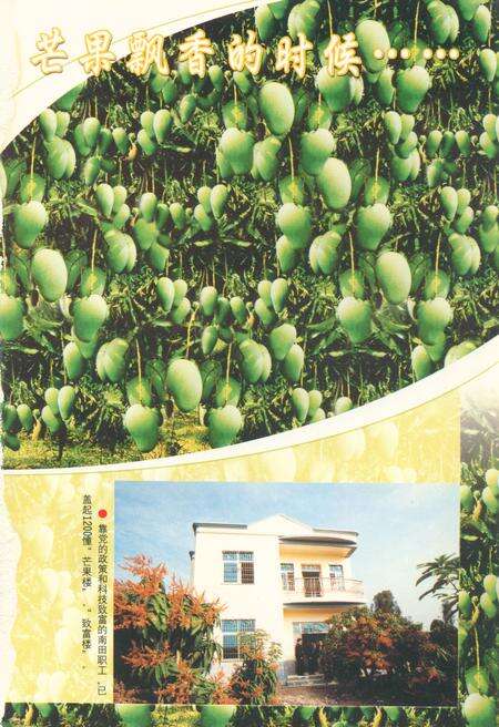 《海南省国营南田农场场志(1952-2002)》.pdf电子版_海南省志预览图4