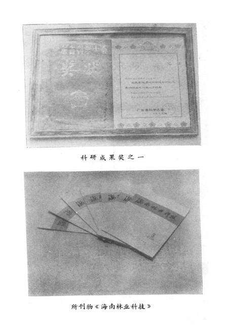 《海南林科所志》.pdf电子版_海南省志预览图4