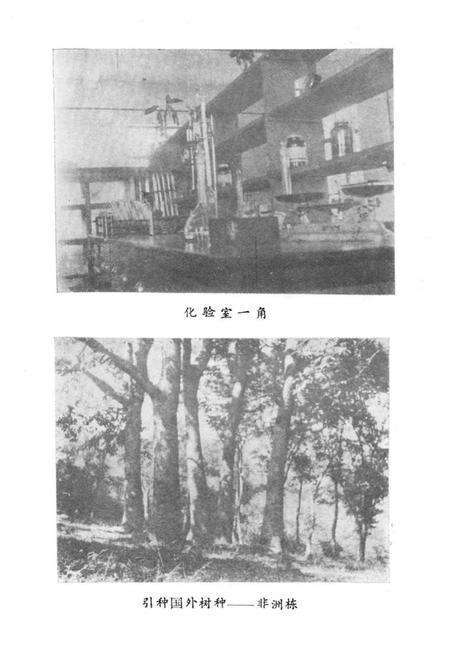 《海南林科所志》.pdf电子版_海南省志预览图5