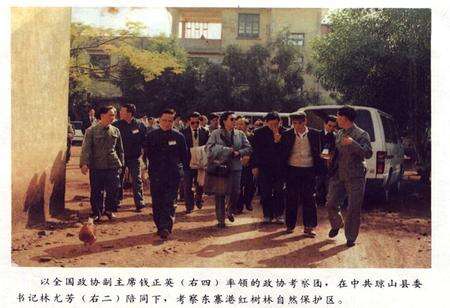 《琼山县林业志》.pdf电子版_海南省志预览图5