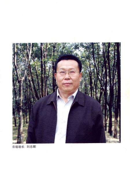 《海南省东方华侨农场场志(1979-2009)》.pdf电子版_海南省志预览图3