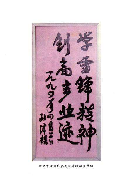 《新星场志》.pdf电子版_海南省志预览图4