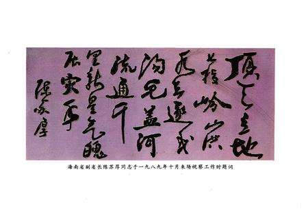 《新星场志》.pdf电子版_海南省志预览图5