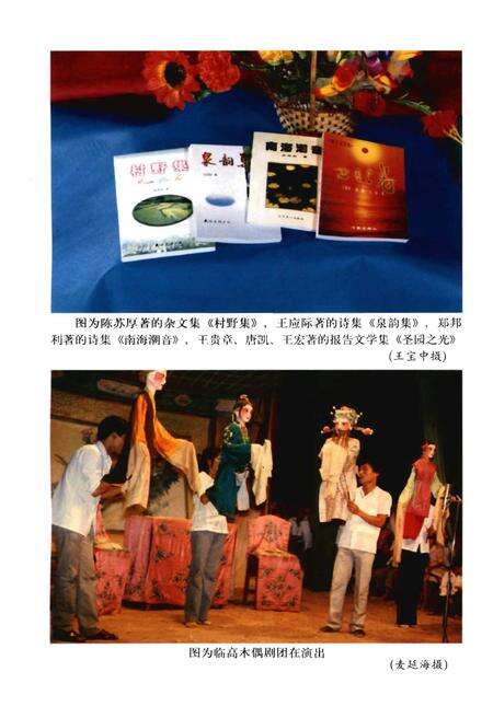 《临高县文学艺术志》.pdf电子版_海南省志预览图5