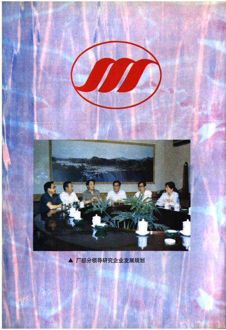 《石家庄棉三厂志》.pdf电子版_河北省志预览图5