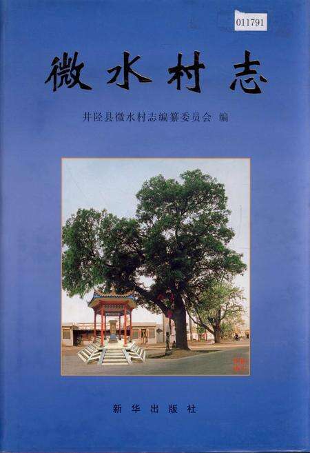 《微水村志》.pdf电子版_河北省志缩略图