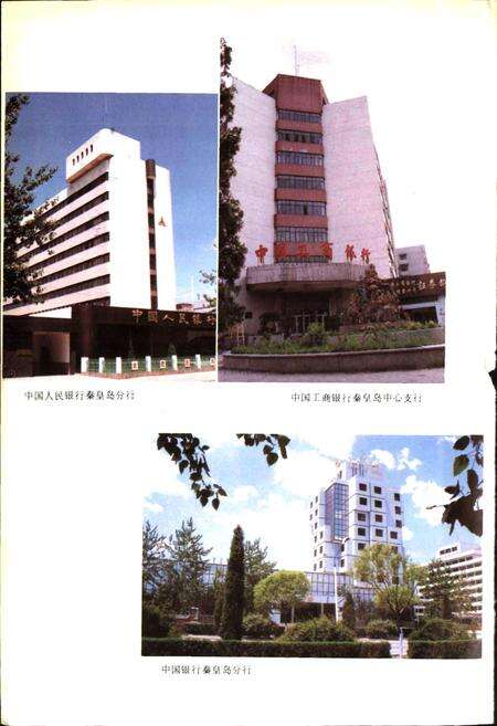 《秦皇岛市金融志》.pdf电子版_河北省志预览图4