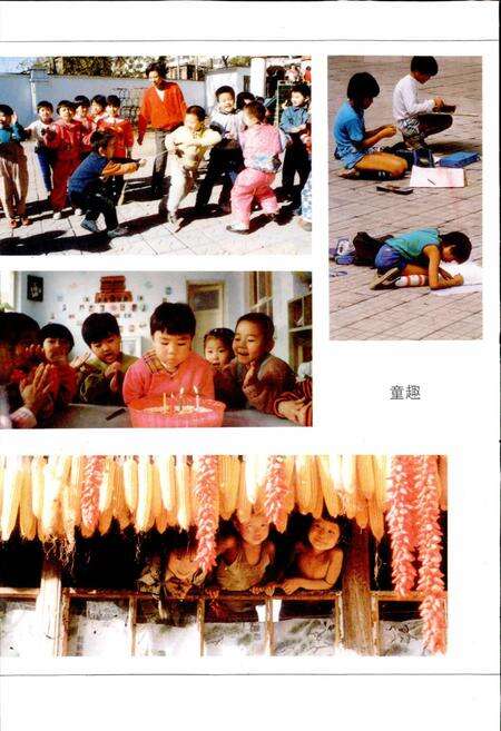 《秦皇岛市志 第十卷》.pdf电子版_河北省志预览图5