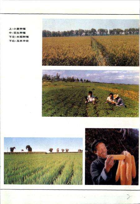 《秦皇岛市志 第四卷》.pdf电子版_河北省志预览图5