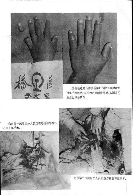 《秦皇岛市地方志 卫生志》.pdf电子版_河北省志预览图5