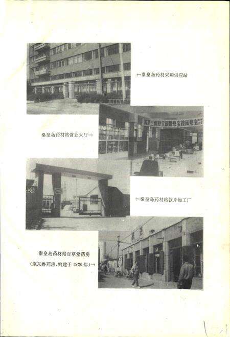 《秦皇岛市地方志 医药志》.pdf电子版_河北省志预览图3