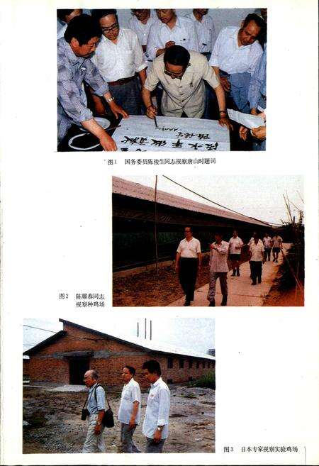 《唐山市畜牧志》.pdf电子版_河北省志预览图3