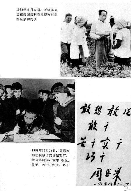 《祁州中药志》.pdf电子版_河北省志预览图4