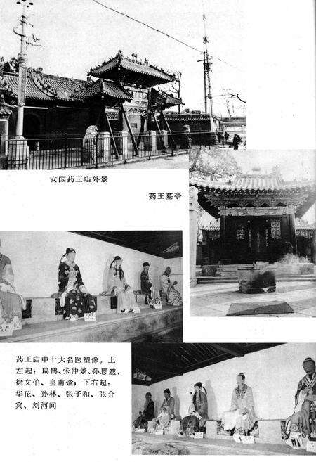 《祁州中药志》.pdf电子版_河北省志预览图5