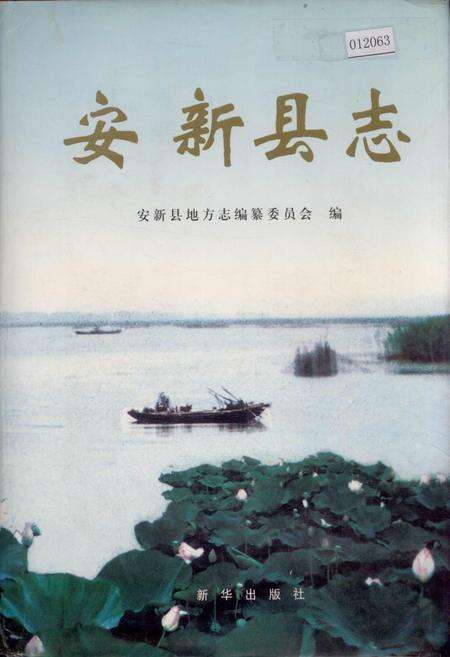 《安新县志》.pdf电子版_河北省志缩略图