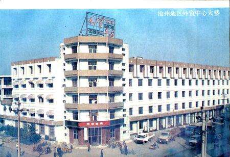 《沧州地区对外经济贸易志》.pdf电子版_河北省志预览图4