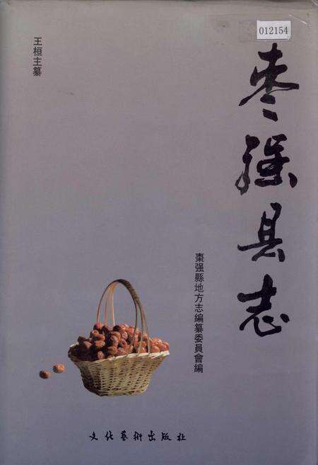 《枣强县志》.pdf电子版_河北省志缩略图