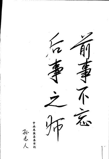 《枣强县志》.pdf电子版_河北省志预览图3