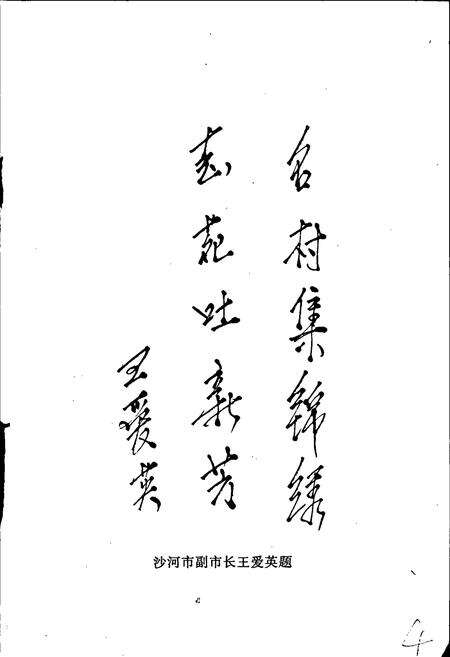 《南汪村志》.pdf电子版_河北省志预览图5