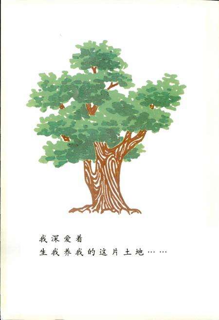 《渡口村志》.pdf电子版_河北省志预览图4