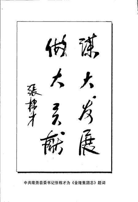 《金隆集团志》.pdf电子版_河北省志预览图4