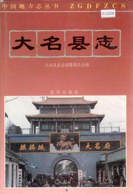 《大名县志》.pdf电子版_河北省志缩略图