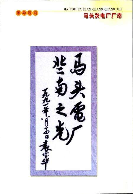 《马头发电厂厂志》.pdf电子版_河北省志预览图2