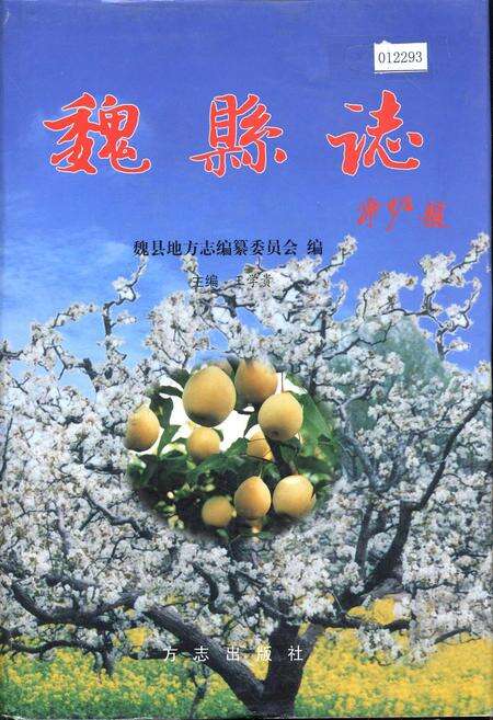 《魏县志》.pdf电子版_河北省志缩略图