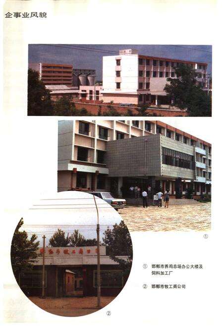 《邯郸市畜牧水产志》.pdf电子版_河北省志预览图5