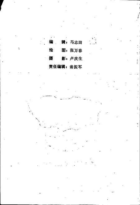 《临西县地名志》.pdf电子版_河北省志预览图2