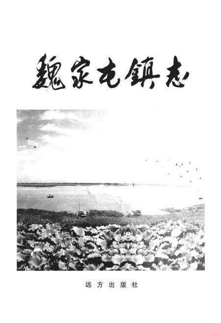 《魏家屯镇志》.pdf电子版_河北省志预览图1