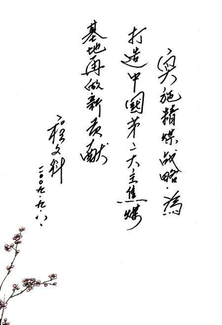 《马头洗选厂厂志(1959-2009)》.pdf电子版_河北省志预览图4