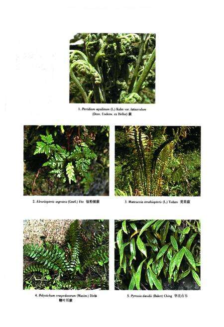 《河北木兰围场植物志(上卷)》.pdf电子版_河北省志预览图1