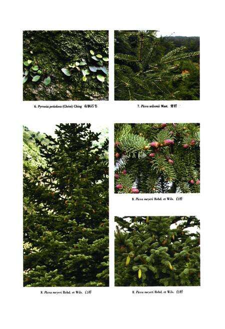 《河北木兰围场植物志(上卷)》.pdf电子版_河北省志预览图2