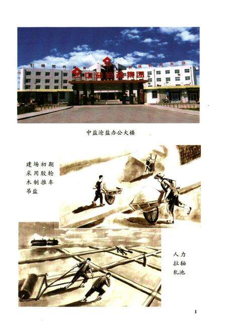 《中盐长芦沧盐志》.pdf电子版_河北省志预览图5