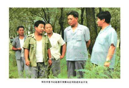 《永清县水利志》.pdf电子版_河北省志预览图5