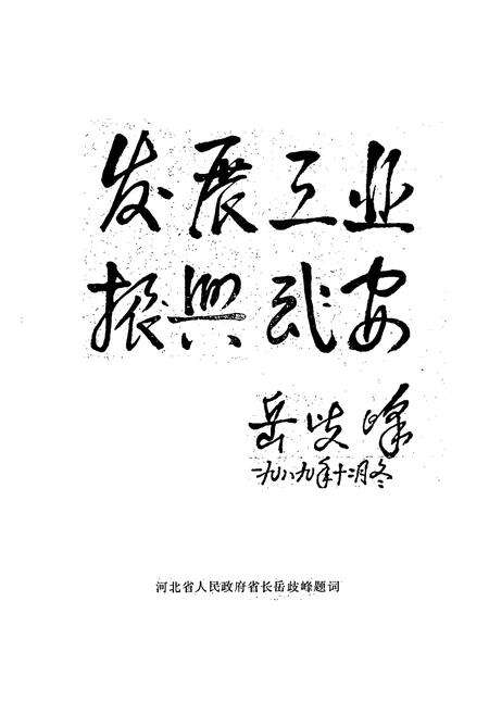 《武安工业志》.pdf电子版_河北省志预览图4