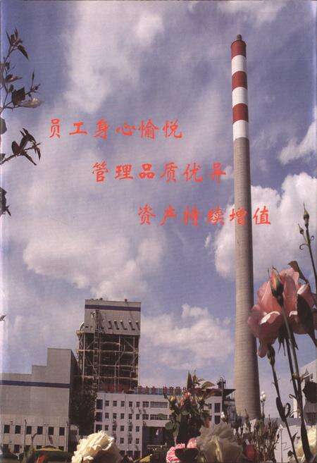 《三河发电有限责任公司志(1994-2004)》.pdf电子版_河北省志预览图2