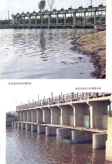 《滦南县水利志》.pdf电子版_河北省志预览图3