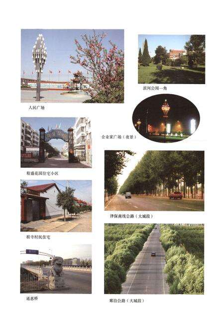 《大城县志(1989-2006)》.pdf电子版_河北省志预览图5